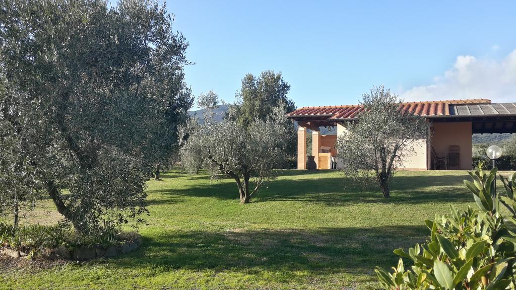 Agriturismo Casa Andreina Castiglione della Pescaia Exterior photo