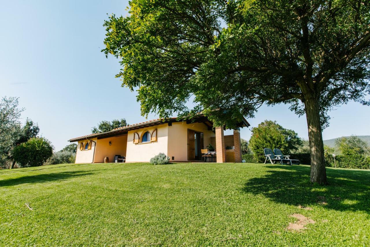 Agriturismo Casa Andreina Castiglione della Pescaia Exterior photo