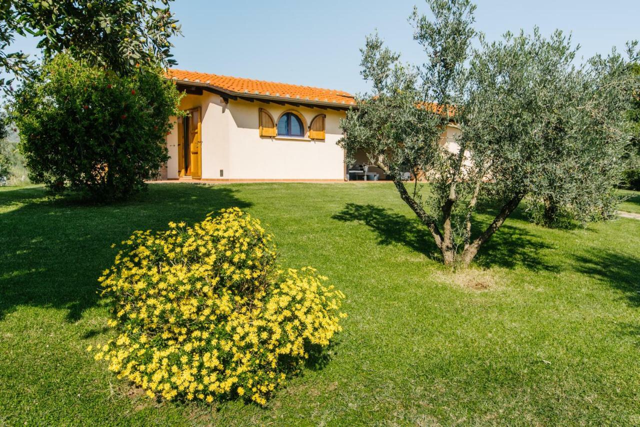 Agriturismo Casa Andreina Castiglione della Pescaia Exterior photo